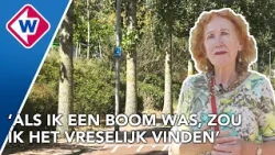 Tientallen bomen worden gekapt, buurtbewoners stappen naar de rechter