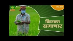 Kisan Samachar: Latest News of Agriculture | DD Kisan | 14/08/2026