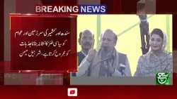 SHARJEEL MEMON big statment on Nawaz Sharif