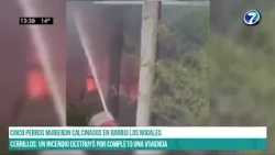 CERRILLOS: Un incendio destruyó por completo una vivienda #canal7salta