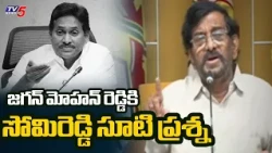 Somireddy's Direct Question to Jagan | MLA Somireddy Chandramohan Challenge to YCP | TV5 News
