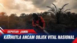 Forest and Land Fires Threaten Vital National Objects