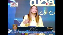 MP Amir El-Gazzar on Coded Electricity Meters: Those who have settled their building violations s...