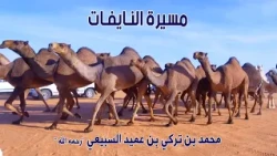مسيرة النايفات | مالك الإبل / محمد بن تركي بن عميد السبيعي "رحمه الله " فئة كأس النادي صفر