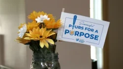 BNEWS Feature: People Helping People's Pours for a Purpose Returns for a Second Year