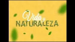 The topic of mint lemon balm was discussed in the #LifeAndNature section of #HolaHabana magazine.