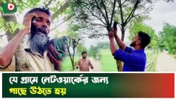 যে গ্রামে নেটওয়ার্কের জন্য গাছে উঠতে হয় | Khagrachari | Manikchari | Mobile Network | Tv News