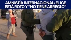 Amnesty International: ICE is broken and "beyond repair" | FOX 7 Austin