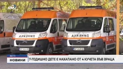RM TV: 7-годишно дете е нахапано от 4 кучета във Враца