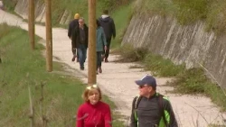 Regionalno, Maribor: Na Piramidi nastaja nov vinograd