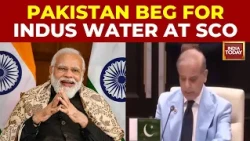 'Water Weaponised For Politics': Shehbaz Sharif Raises Indus Water Issue At SCO Summit | IND-PAK Row