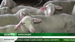Централна емисия на АГРО ТВ: Спор за ваксинацията, форум за модерно животновъдство
