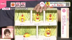 【ねぇねぇそらジロー】そらジローのコレクションは何ですか