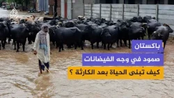 باكستان صمود في وجه الفيضانات  كيف تبنى الحياة بعد الكارثة ؟