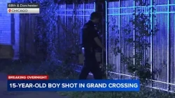 15-year-old shot in Grand Crossing, Chicago police say