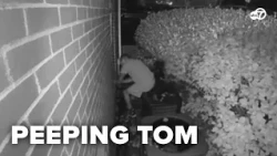 Man caught on video looking into woman's window in Alexandria
