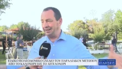 ΕΙΔΙΚΟ ΠΟΛΕΟΔΟΜΙΚΟ ΣΧΕΔΙΟ ΤΟΥ ΠΑΡΑΛΙΑΚΟΥ ΜΕΤΩΠΟΥ ΑΠΟ ΤΟ ΚΑΛΟΧΩΡΙ ΕΩΣ ΤΟ ΑΓΓΕΛΟΧΩΡΙ