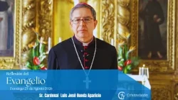 Gospel Reflection - August 23