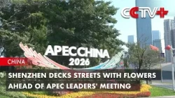Shenzhen Decks Streets with Flowers Ahead of APEC Leaders' Meeting