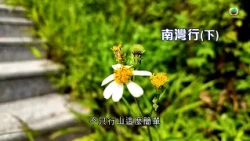 灣區零距離｜南灣行 (下)