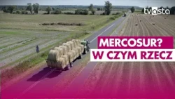 Is Mercosur not so scary after all?