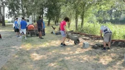 NYÁRI DIÁKMUNKA JÁSZFÉNYSZARUN