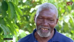 Seeds Of Gold: Come with us into the world of coffee planting