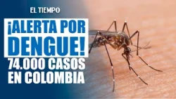 Dengue en Colombia: más de 74.000 casos reportados y estos son los departamentos más afectados
