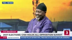 Political Parties Should Focus on Nigerians, Not Fellow Politicians — Analyst, Fred Nzeako