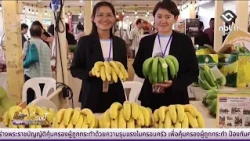 ชัยภูมิบุกตลาด กทม. โชว์ศักยภาพเกษตรมูลค่าสูง | อีสานวันนี้ 3 กันยายน 2569