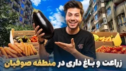 شهر ما - گزارش سمیع‌الله ظفر از حال‌وهوای دهقانان در منطقه صوفیان ولسوالی میربچه کوت