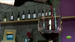 Giro Brasil: Brasil conta oficialmente com o Dia Nacional do Vinho