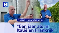 2026 a banner year for North Holland wines