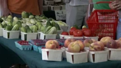 The Growing Community of the Billerica Farmer Market