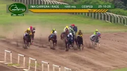 Hipódromo Monterrico - 7ma Carrera 25 Octubre 26