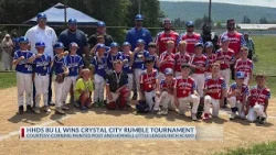 Horseheads and Waverly 8U Little League teams earn tournament titles