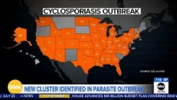 New clusters identified in parasite outbreak