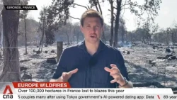 France races to save Bordeaux wine region from massive wildfire