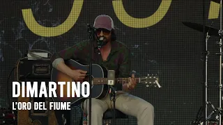 DIMARTINO – The River’s Gold | live