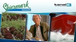 Mochoritsch, Frauen in Medien, Freibad Trofaiach, Briefmarke, Biotop Graz TV-News aus der Steiermark