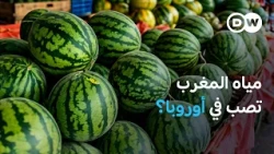 المغرب يعاني شحّ المياه ويصدّر الفواكه إلى أوروبا... فهل يصدّر مياهه معها؟ | مسائية