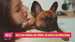 July 21: International Dog Day
