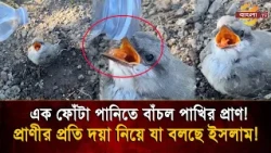 'A New Life in Just a Drop of Water', The Incredible Sight of Saving a Near-Dead Bird Will Move Y...