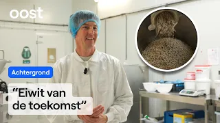 This factory makes cricket burgers | RTV Oost