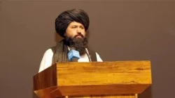 د لوړو زده کړو وزير په پروان پوهنتون کې د فتحې ورځې لمانځغونډې او د محصلانو فراغت مراسمو