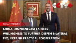 China, Montenegro Express Willingness to Further Deepen Bilateral Ties, Expand Practical Cooperation