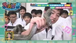 【部活中継】白陵中学・高校　生物部