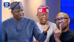 'Is He Going For Boxing?' APC Dismisses Peter Obi’s Call For Tinubu’s Resignation