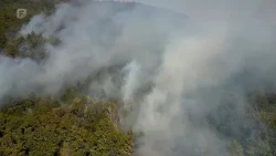 BiH prva u regiji po opožarenim površinama, iza vatre najčešće ljudski faktor