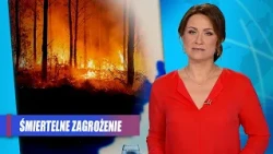 Wall of fire racing at 6 km/h. Wildfires ravage Europe